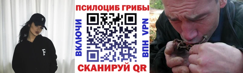 Галлюциногенные грибы Psilocybine cubensis  omg как зайти  Асбест  где можно купить  